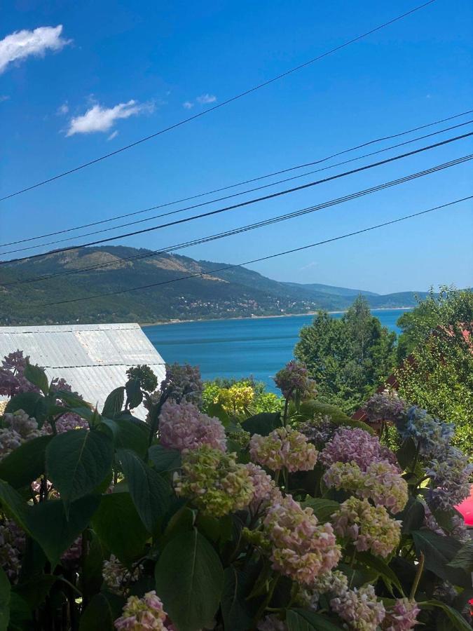 Petar Apartment Mavrovo Eksteriør bilde