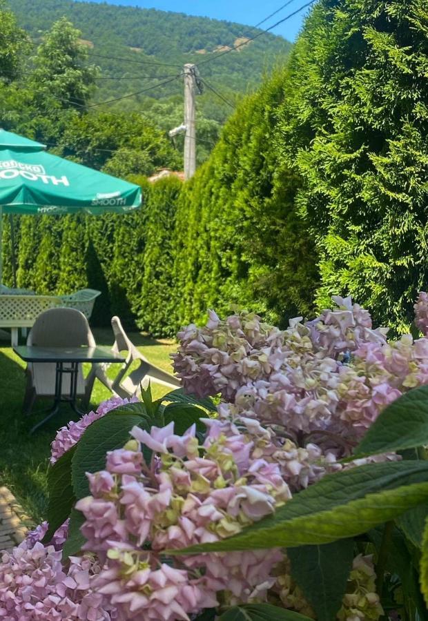 Petar Apartment Mavrovo Eksteriør bilde