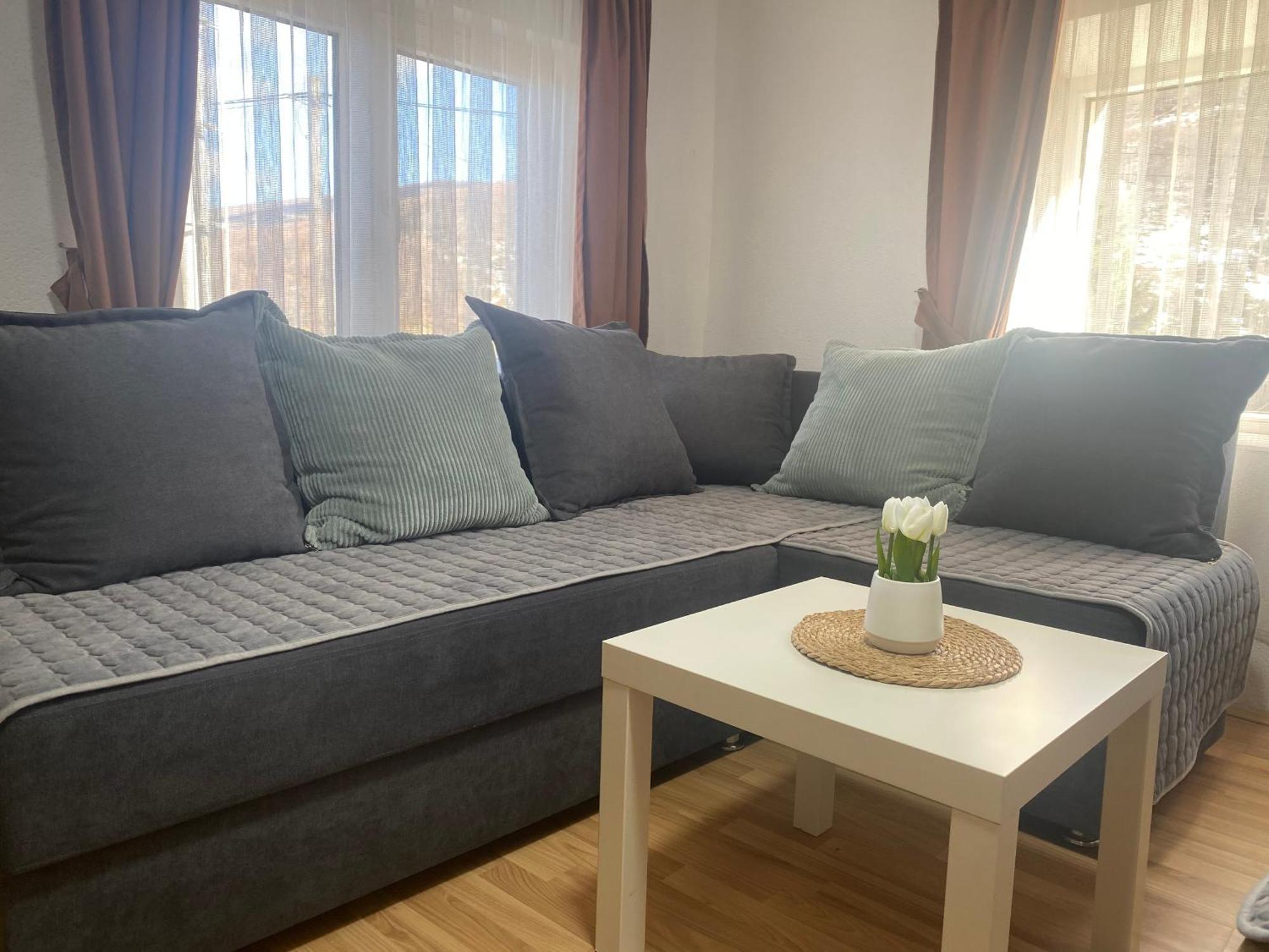 Petar Apartment Mavrovo Eksteriør bilde
